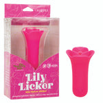 CalExotics Naughty Bits Lily Licker Mini Flower Vibrator, Pink, Product Package with Clitoral Vibrator