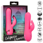 California Dreaming Sacramento Sweetie Vibrator, Product Box with Vibrator and Features