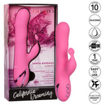 California Dreaming Santa Barbara Surfer Vibrator, Product Box and Features
