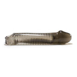 Oxballs Muscle Cocksheath, Smoke, Product Image, Side View