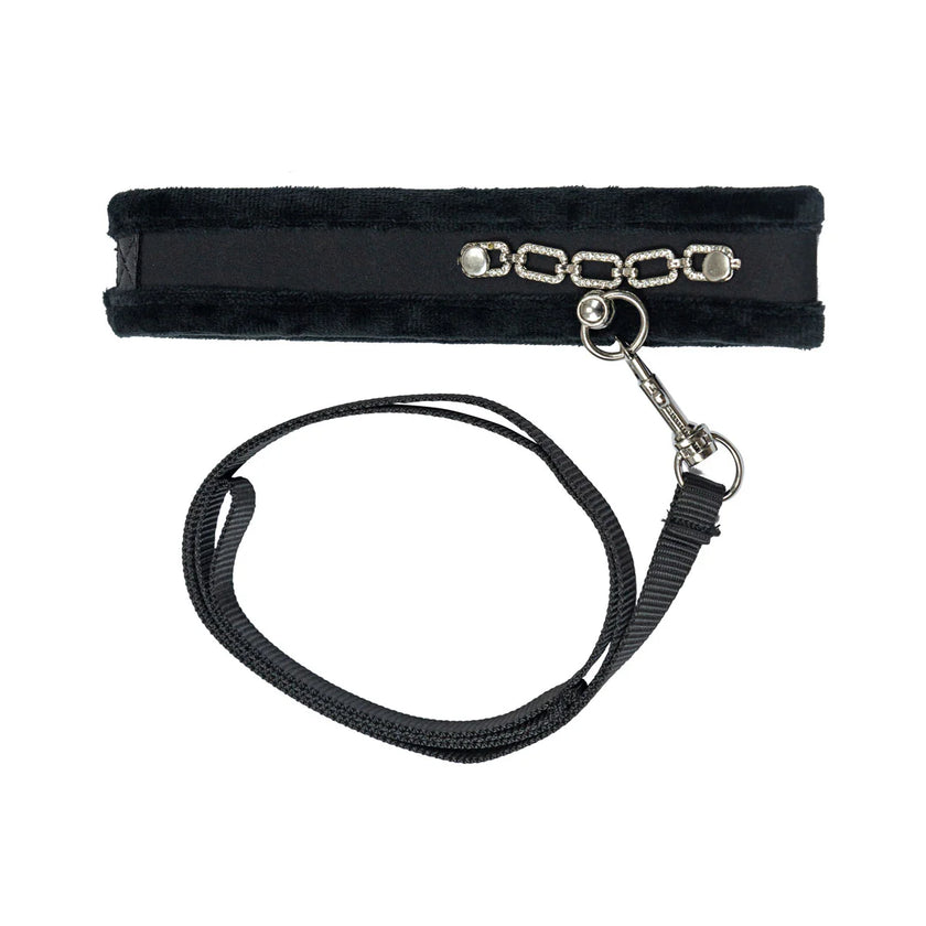 Punishment Crystal Collar & Leash