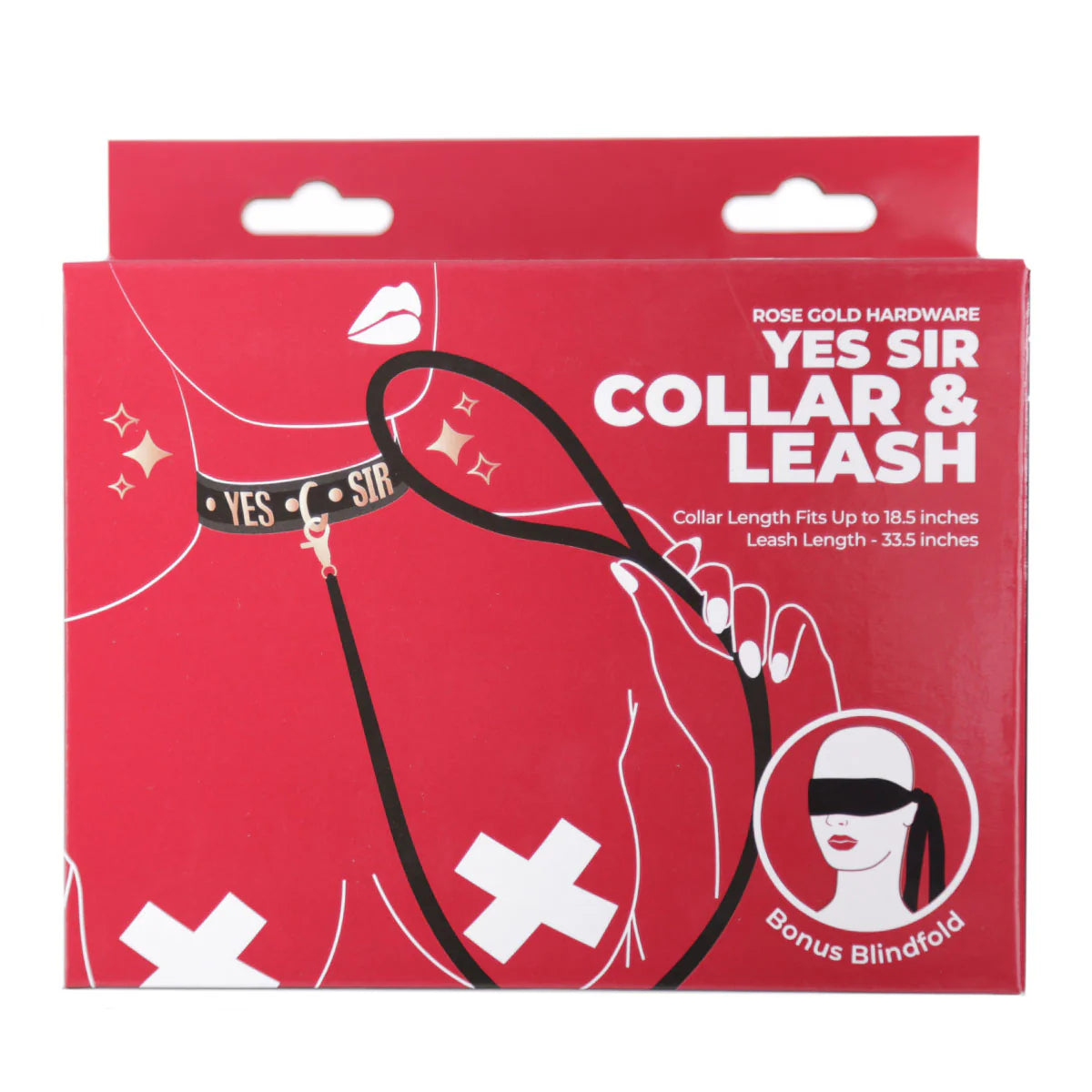 Punishment Rose Gold Yes Sir Collar & Leash