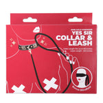 Punishment Rose Gold Yes Sir Collar & Leash, Product Box, Front View