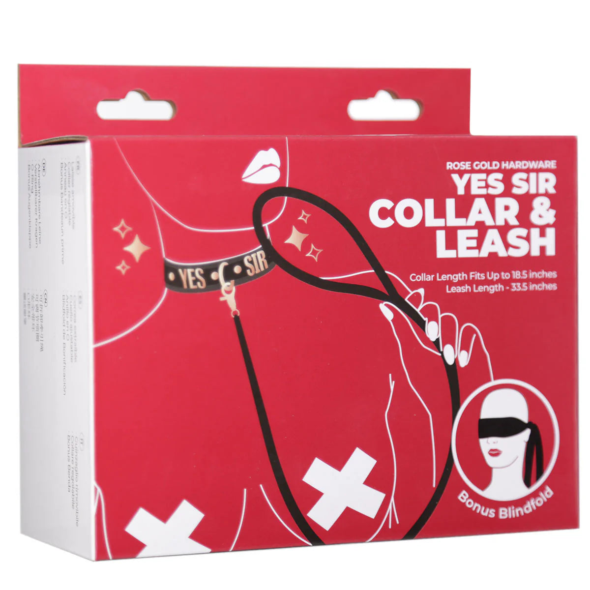 Punishment Rose Gold Yes Sir Collar & Leash, Product Box, Front Right Angle