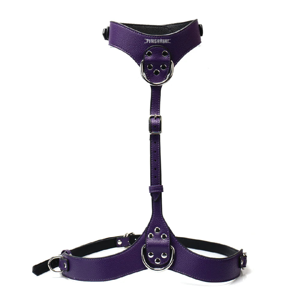 Punishment Silver Chest Harness, Product Image