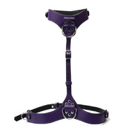 Punishment Silver Chest Harness