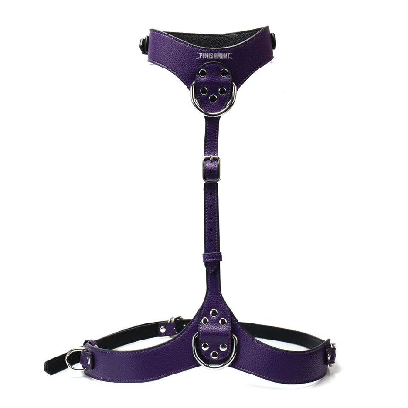 Punishment Silver Chest Harness